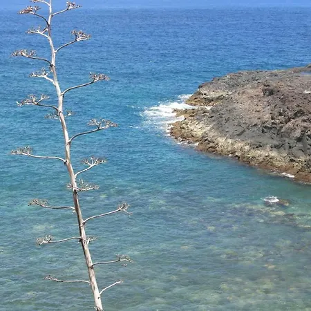 El Roque 205 - Sustainability Off The Beaten Track Apartament Tacoronte